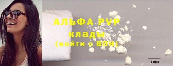прущие грибы Алзамай