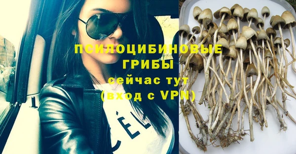 ALPHA PVP Алексеевка