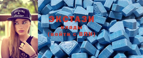 прущие грибы Алзамай