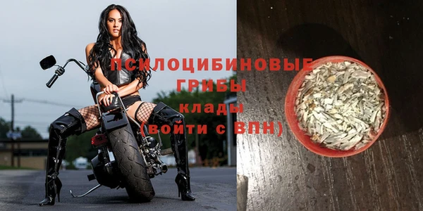 прущие грибы Алзамай