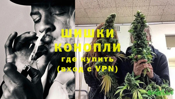 прущие грибы Алзамай