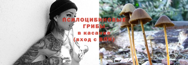 ALPHA PVP Алексеевка