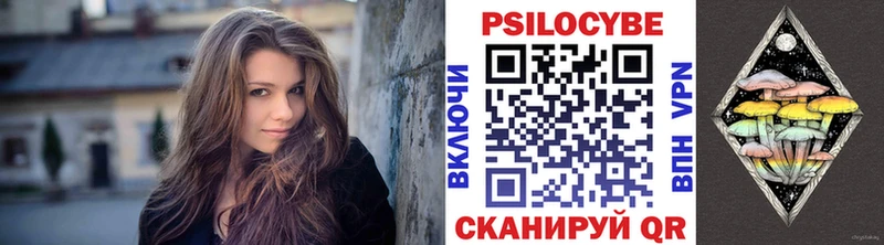 Галлюциногенные грибы Psilocybe  Навашино 